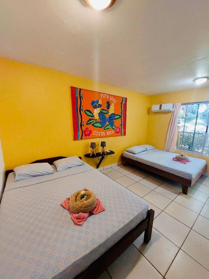 Hotel Aurora Montezuma Extérieur photo