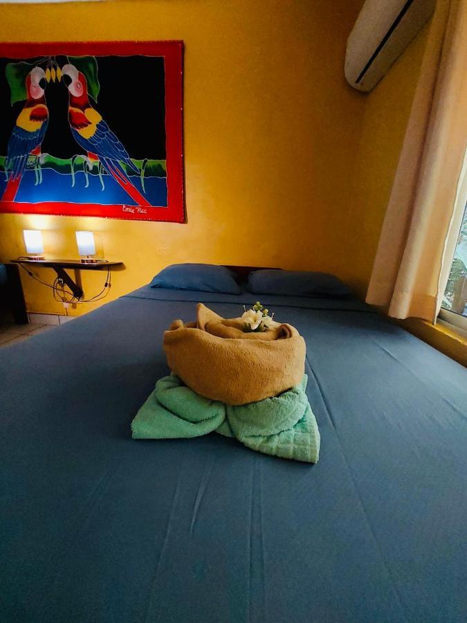 Hotel Aurora Montezuma Extérieur photo