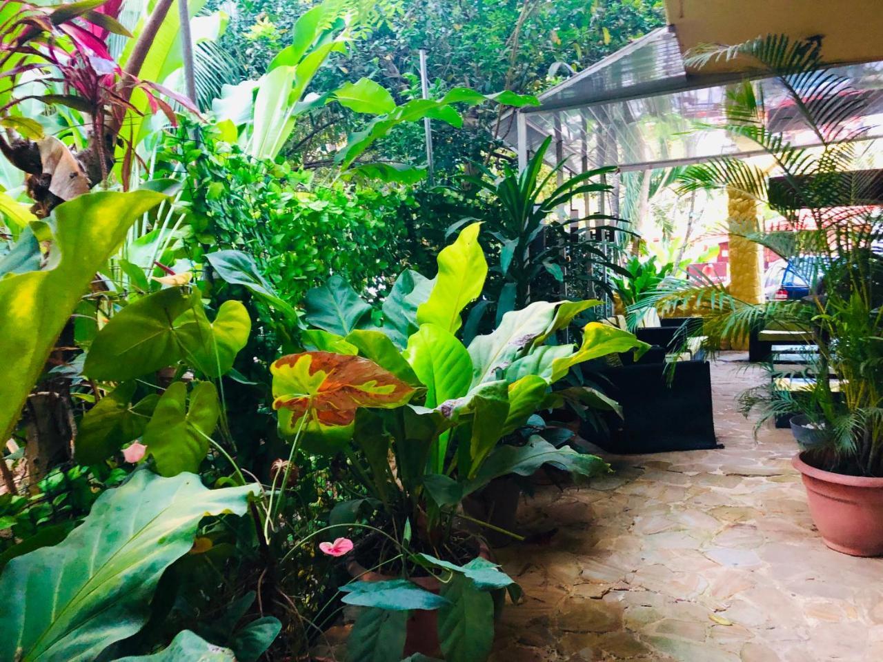 Hotel Aurora Montezuma Extérieur photo